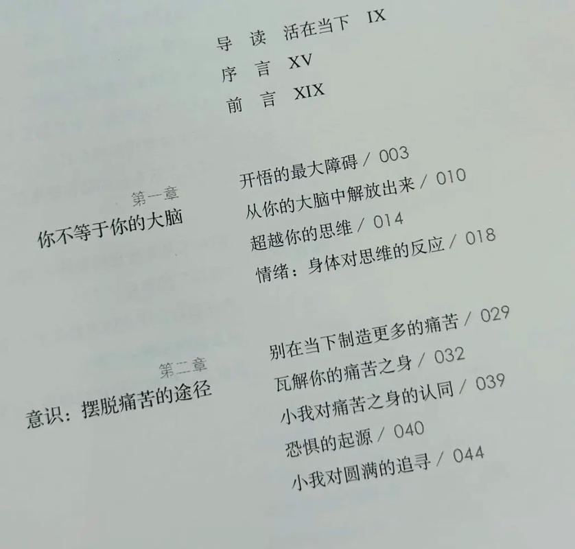 《当下的力量》在线阅读：解锁当下力量，摆脱焦虑与痛苦