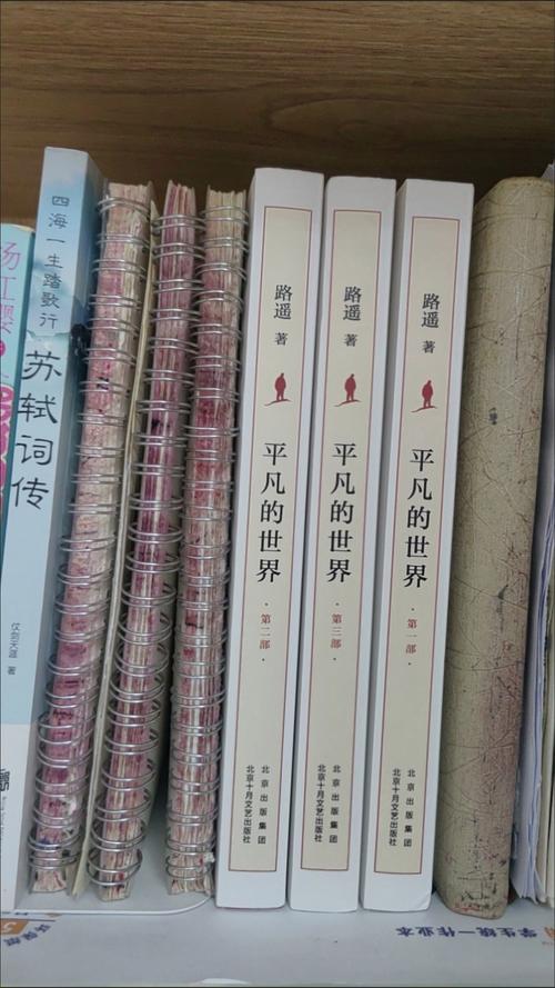 白夜行在线阅读免费｜东野圭吾经典推理小说完整版