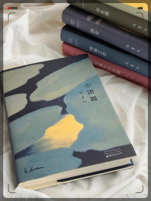 亦舒小说在线阅读 | 经典言情作品全集免费阅读
