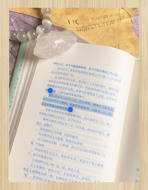 番茄免费小说在线看 | 海量正版热门小说免费阅读