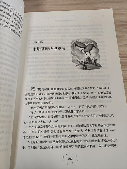 哈利波特与火焰杯在线阅读 | 完整版免费章节