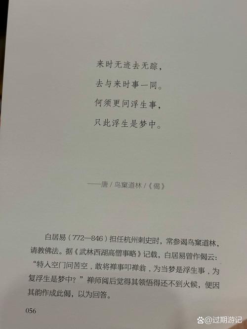坏小孩全文免费在线阅读 | 紫金陈推理悬疑小说