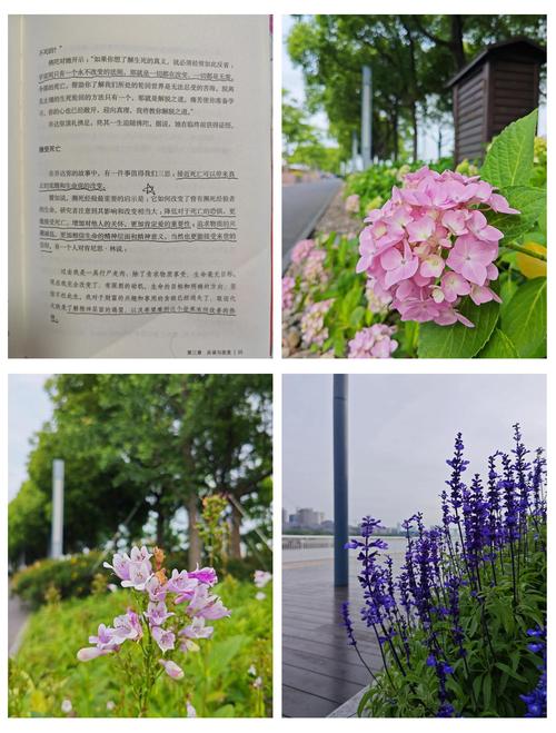 黑道学生3全文免费在线阅读 | 最新章节无弹窗