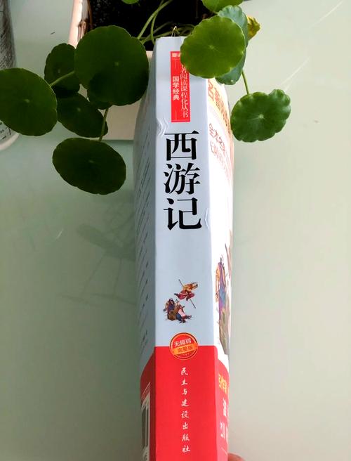总裁媳妇的爱上我在线阅读 - 豪门甜宠总裁文全文小说免费阅读