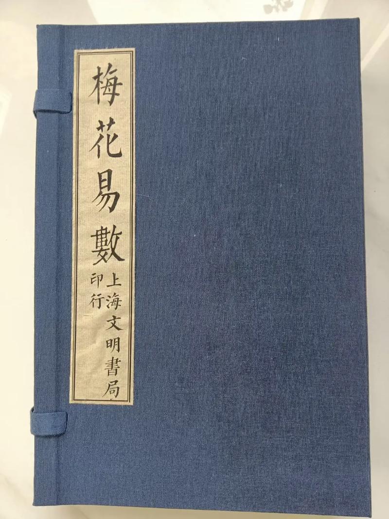 莫负寒夏小说全文免费阅读_丁墨经典作品在线看