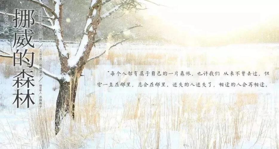 二哈和他的白猫师尊未删减版全文在线阅读