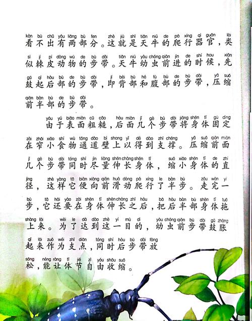 悲伤逆流成河2全文免费在线阅读_小说最新章节