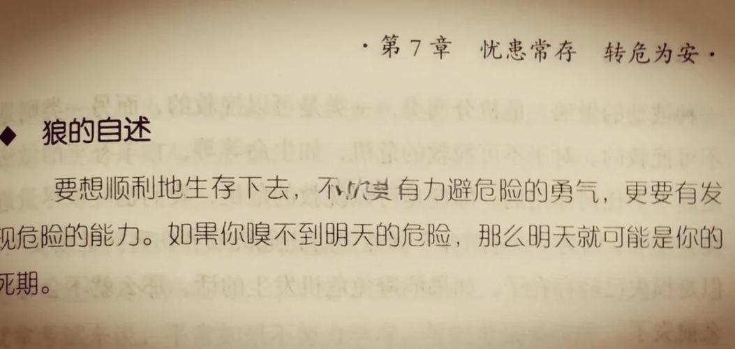 斗破苍穹在线免费阅读 | 萧炎逆天崛起,高清无弹窗全集
