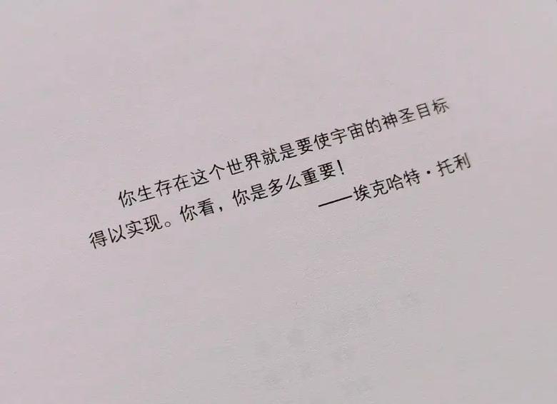 《当下的力量》在线阅读：解锁当下力量，摆脱焦虑与痛苦