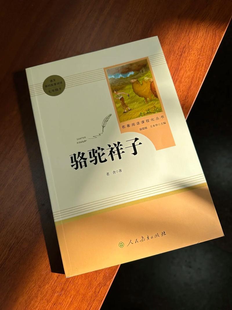 书虫英语在线阅读：经典双语分级读物，轻松提升英语水平