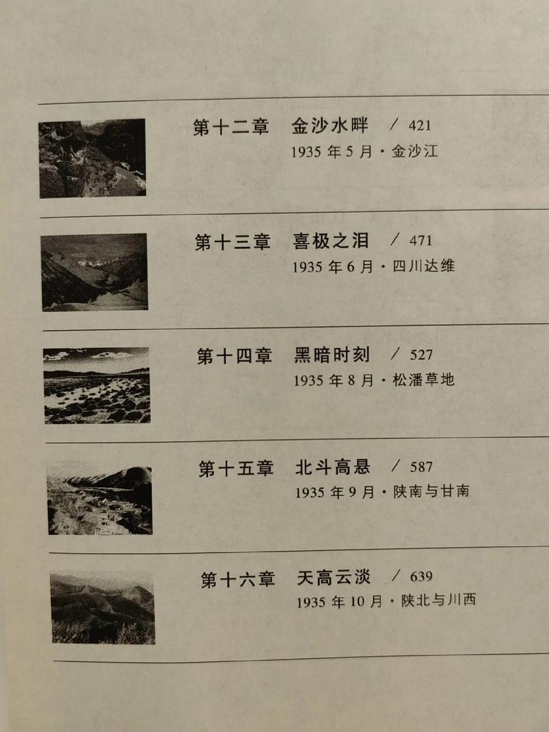 余罪9在线阅读的相关介绍