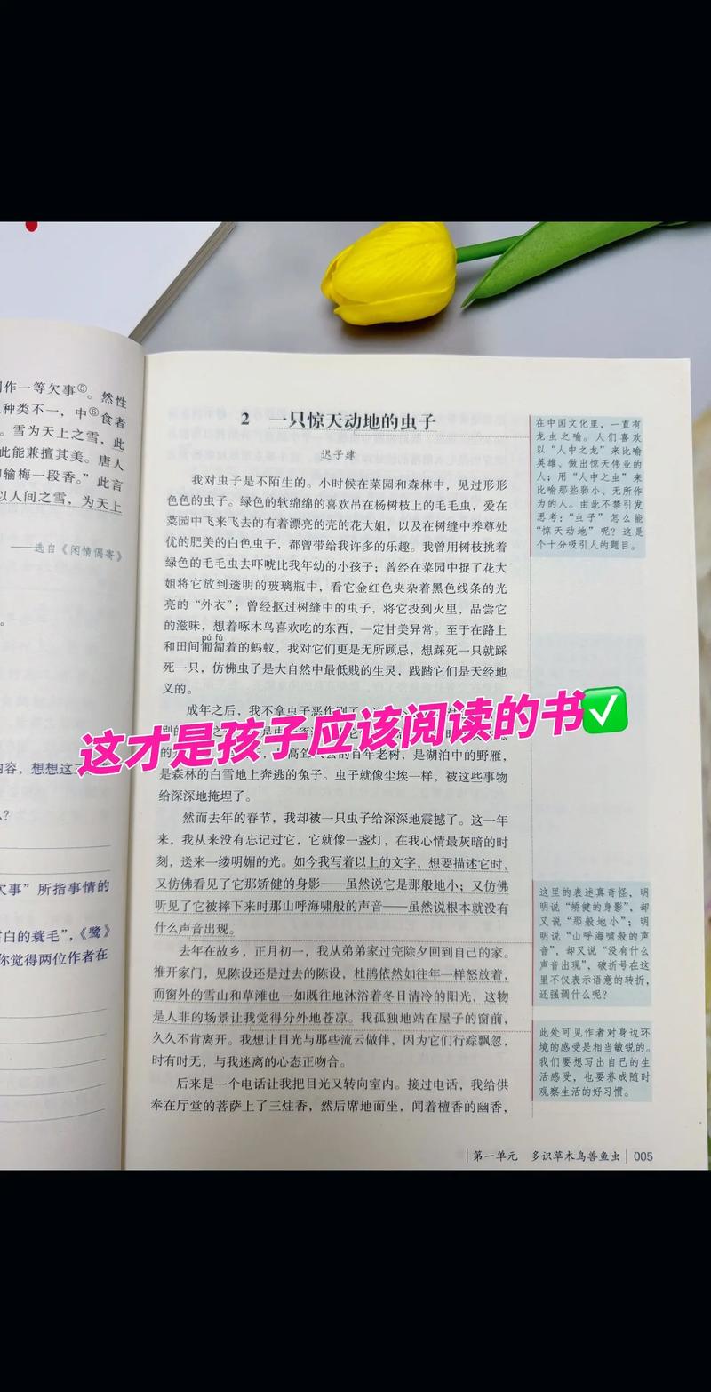 魁拔小说在线阅读 | 热血奇幻巨著完整版