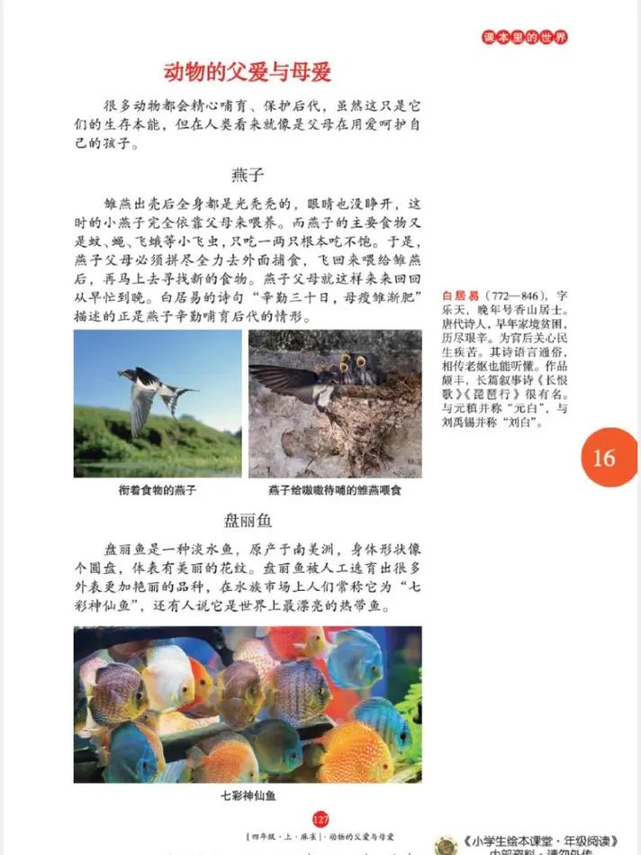 麻雀全文在线阅读 - 经典革命小说免费阅读
