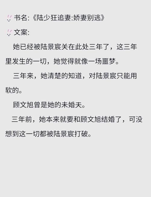 乡村乱情在线阅读第十一部的相关介绍