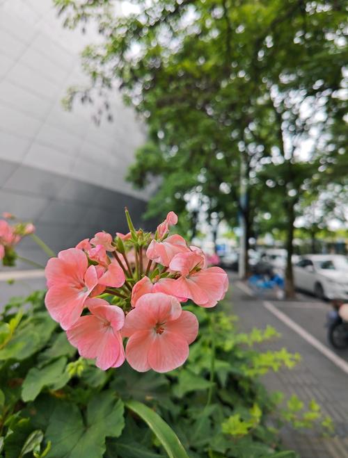 我的占有欲少年全文免费阅读 - 热门小说在线无广告版