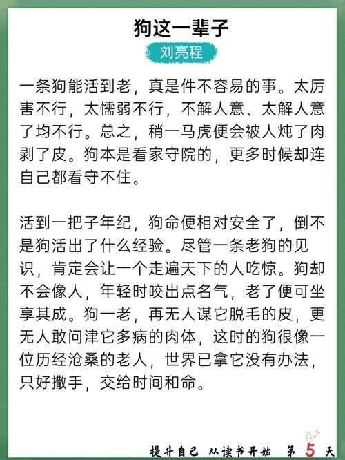 神秘佛眼全文在线阅读 - 揭秘佛眼之谜
