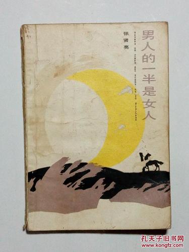 京洛再无佳人2全文阅读丨经典都市情感小说续篇