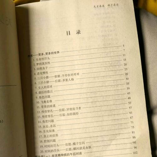 天才在左疯子在右：颠覆认知的疯子世界，在线免费阅读