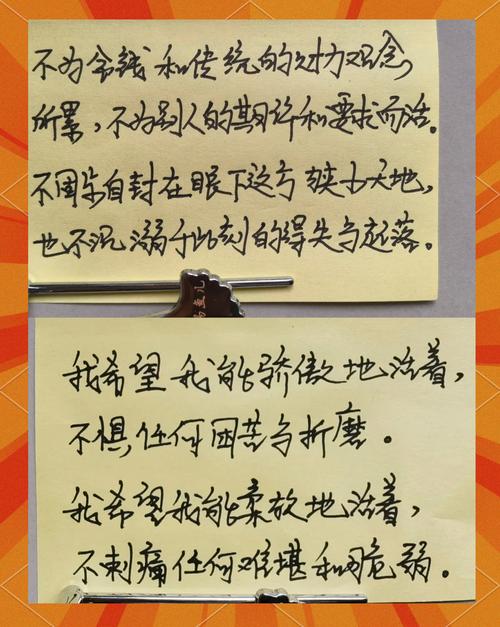 总要习惯一个人在线阅读 - 学会独处的治愈系成长指南