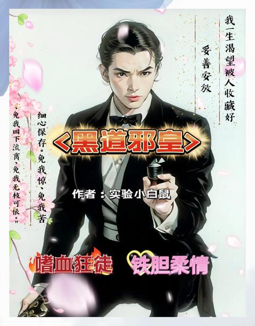 黑道邪皇在线全文阅读，热血黑道逆袭传奇巅峰