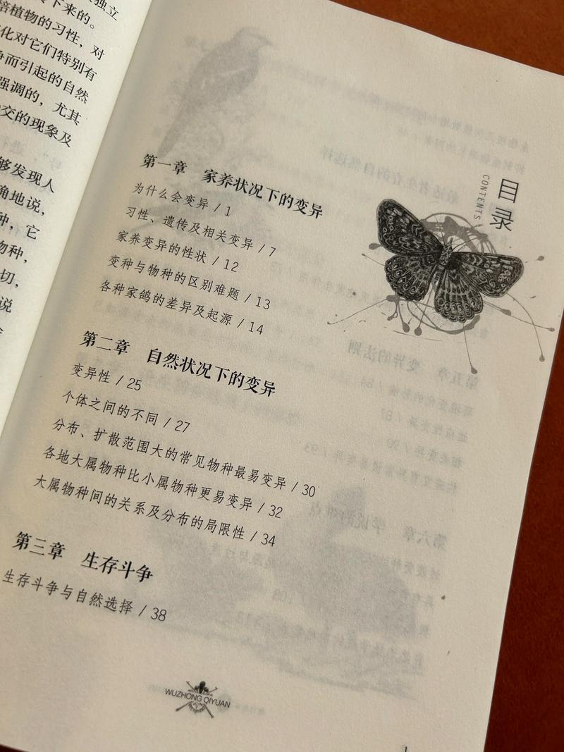 老房子的春天全文免费在线阅读 | 经典怀旧小说