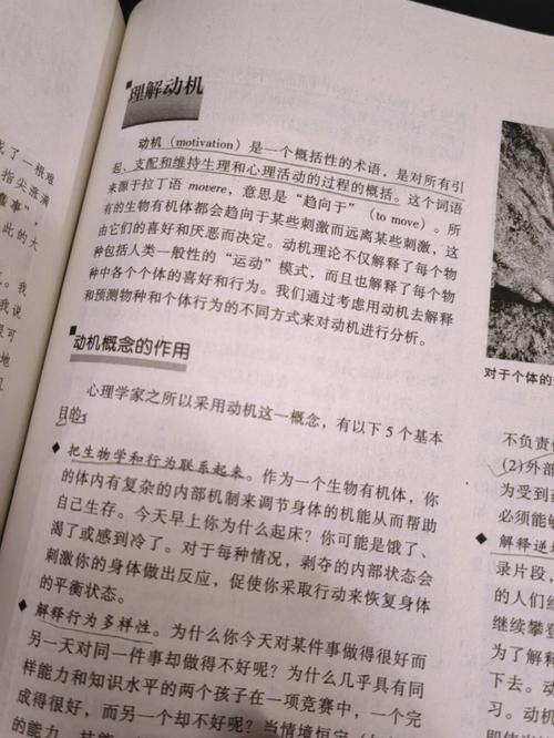 当下的力量在线阅读：觉醒当下的力量，开启心灵平静之旅