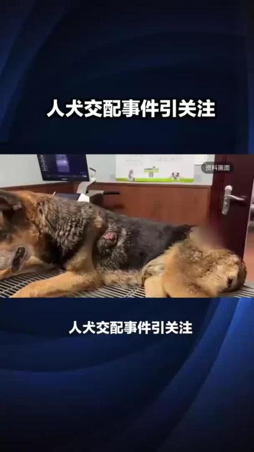 影响力在线阅读：从被动接受到主动影响的思维转变指南